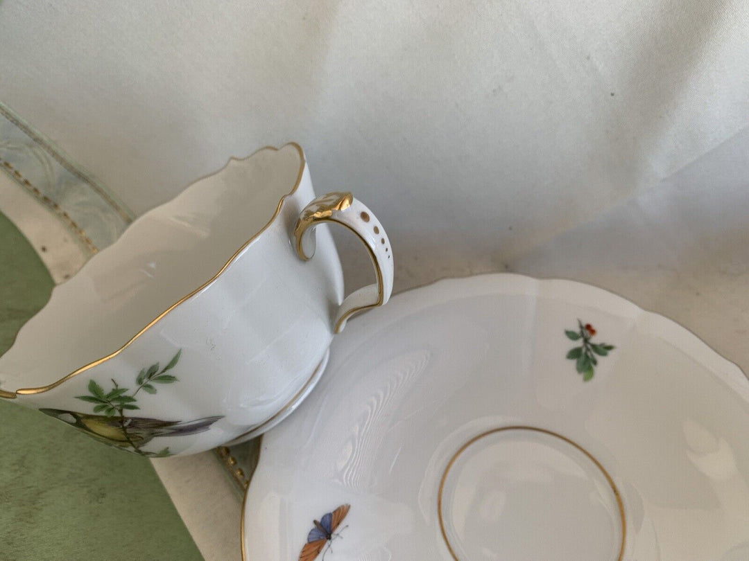 専用　マイセン　meissen 鳥　昆虫　プレート Meissenマイセン/※極珍品 1級品 上級背面装飾 鳥昆虫 飾り皿