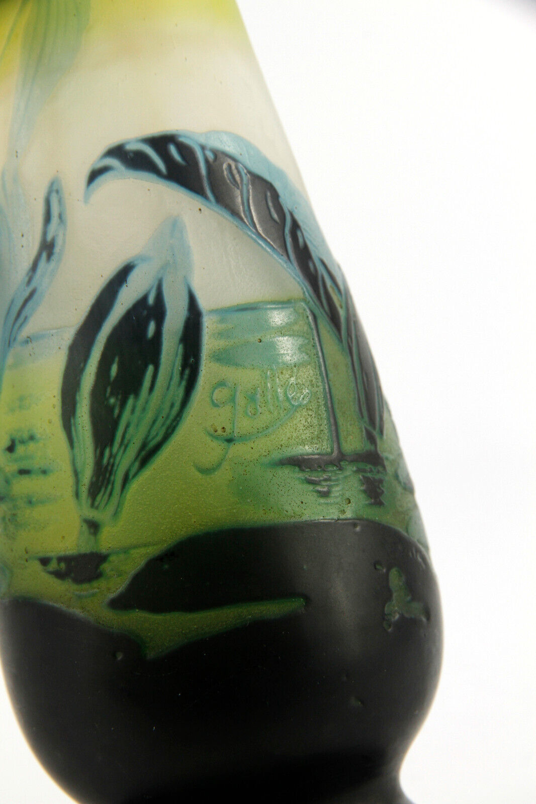 エミールガレ スイレンとオモダカが描かれたアールヌーボー時代の花瓶