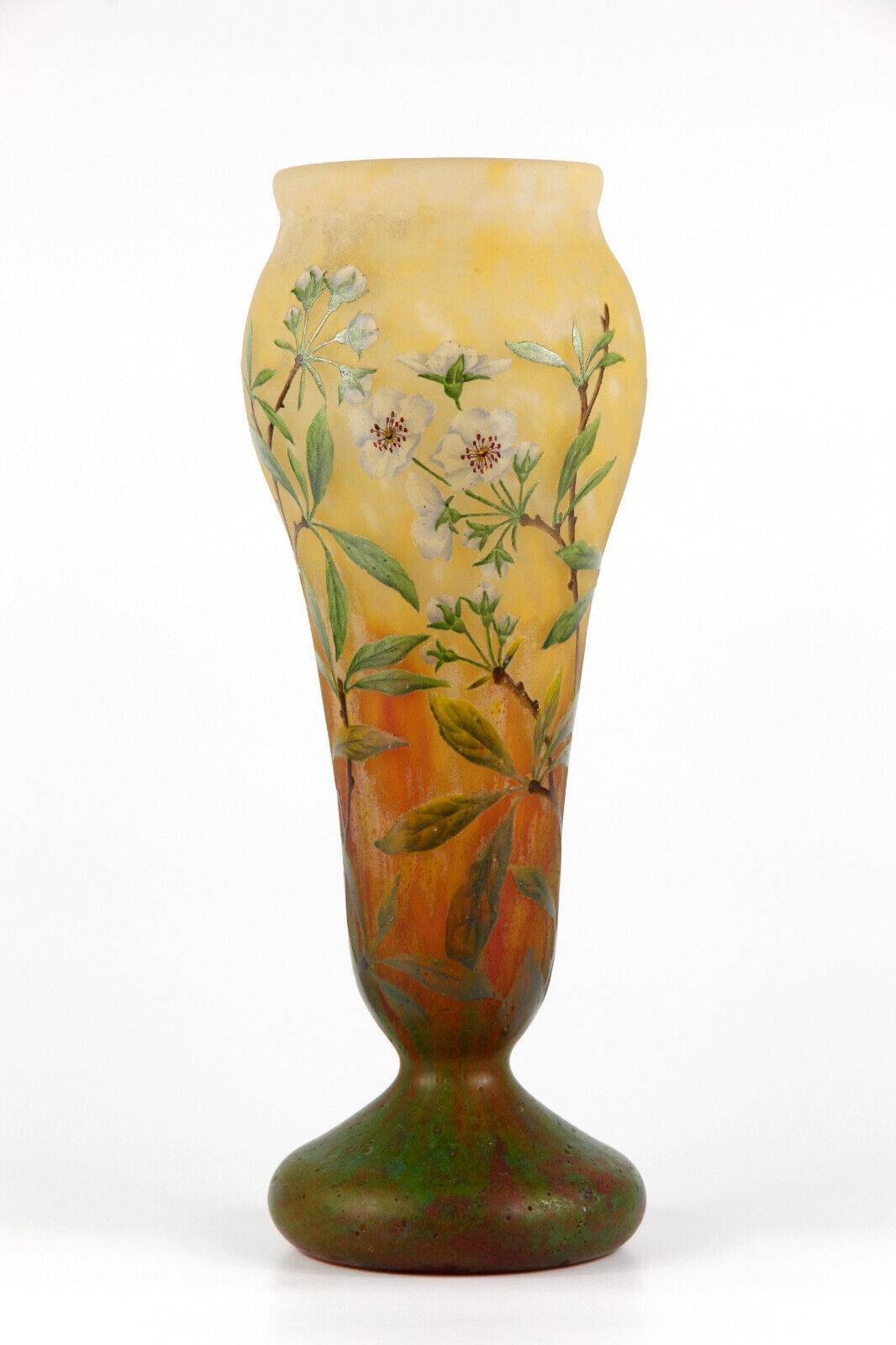 ドーム兄弟（ドームナンシー ） – Tagged 