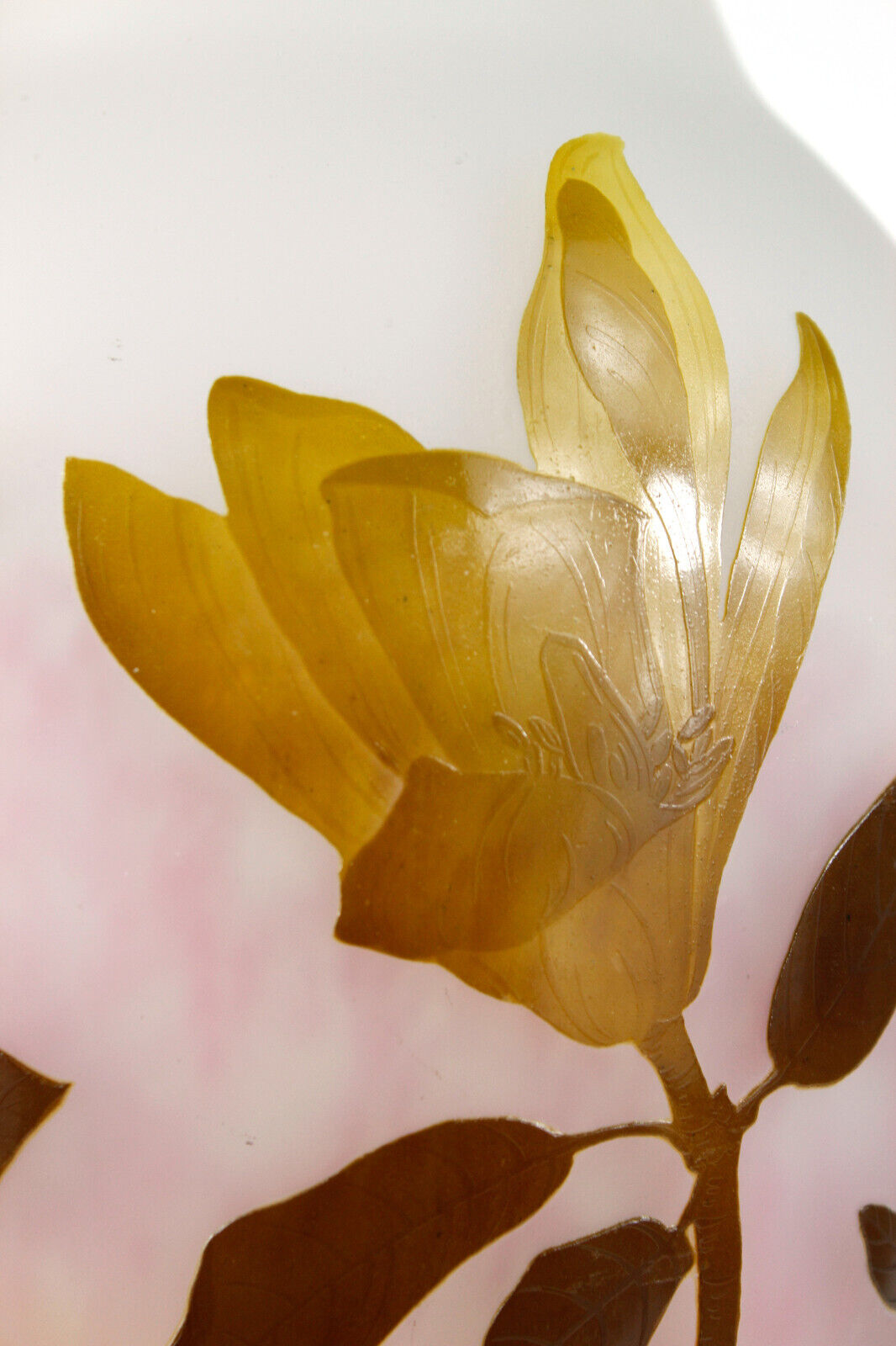 ドーム兄弟（ドームナンシー）マグノリアの花の大型花瓶