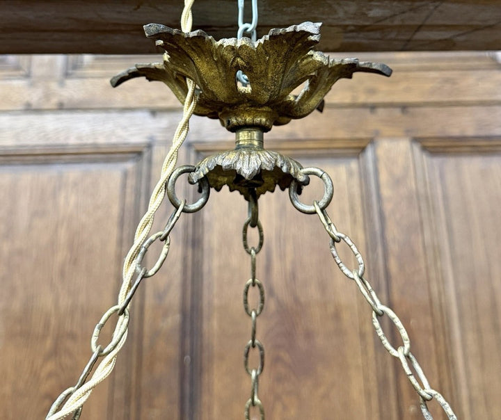 エミール・ガレ - 大型天井照明器具またはマグノリア装飾のバスクシャンデリア アール・ヌーヴォー様式