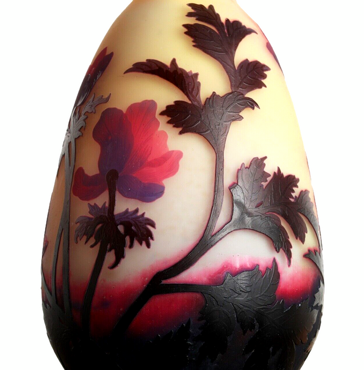 ミューラー兄弟　貴重な赤いアネモネの花瓶