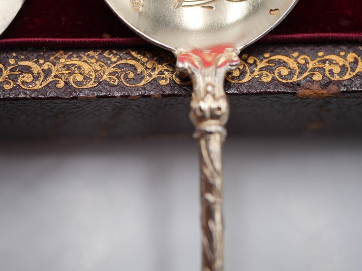 ピュイフォルカ 14 ピースアイスクリームセット ボックス付き