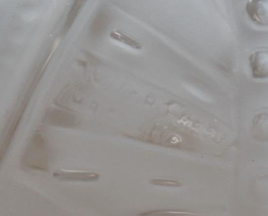 ０２７　ミューラー兄弟　朱雀紋様 【シャンデリア】ペンダントライト3