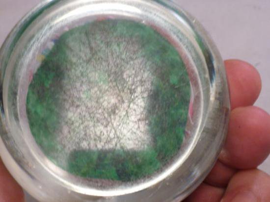 ２２７　ヴィンテージ　イタリア製ムラノガラスのペーパーウェイト　ラッティチーノ　レースリボン　ミレフィオーリ