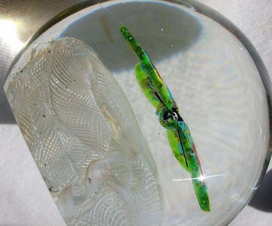 ４２２　ヴェネチアンガラスペーパーウェイト～白のラッティチーノと蝶模様