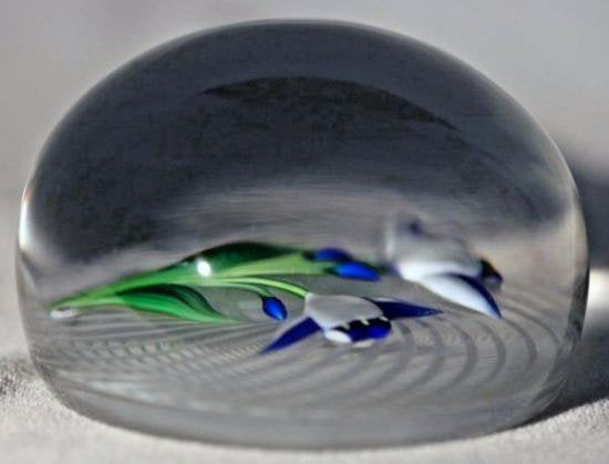 ４４２　ベネチアングラスのラッティチーノペーパーウェイト