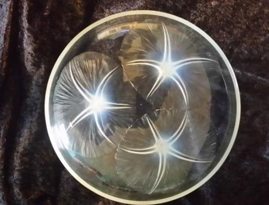 １８４　ルネ・ラリック　オパルセントのアサガオ模様のボウル