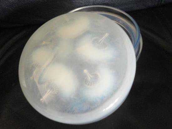 ２０５　ルネ　ラリック　パフボックスと上蓋　極上品