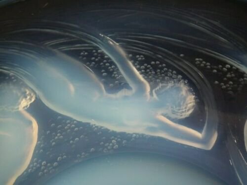 ルネ　ラリック　乳白色ガラス製　「Ondines（オンディーヌ）」　飾り皿