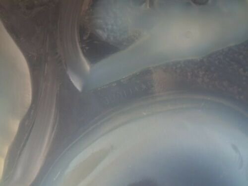 ルネ　ラリック　乳白色ガラス製　「Ondines（オンディーヌ）」　飾り皿