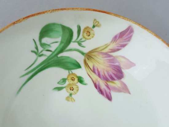 マイセン　バロック様式カップ　チューリップ　マルコリーニ＃2