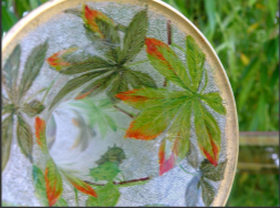 340	バカラ　クリアマロニエガラス