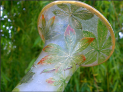 340	バカラ　クリアマロニエガラス