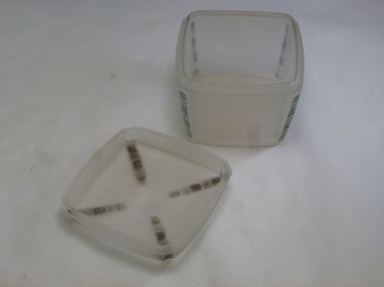 299	ルネ・ラリック　セピアボックス　Fleurettes