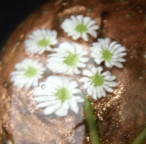 619	ムラノガラス　ガラスペーパーウェイト　デイジーフローラルバスケット　ゴールド