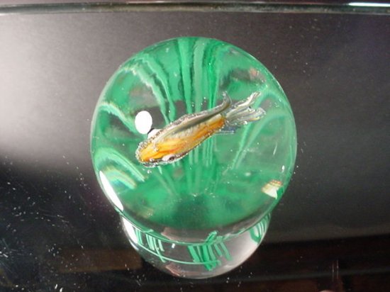 615	ムラノ　アクアリウムペーパーウェイト　フラッテリ・トッソ　イームズ期