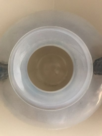 301	ルネラリック　Rene Lalique　オパールのようなロンサールガラス花瓶