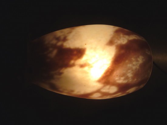 156　ドーム兄弟（Daum Nancy）作　アール・ヌーヴォー様式のテーブルランプ