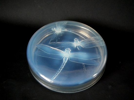 ルネ・ラリック　オパルセントガラス　蓋物　「ジョーゼット」　1922年