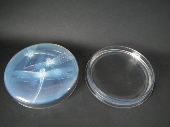 ルネ・ラリック　オパルセントガラス　蓋物　「ジョーゼット」　1922年