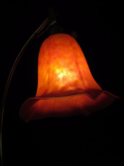 ドーム・ナンシー DAUM NANCY ブロンズランプ