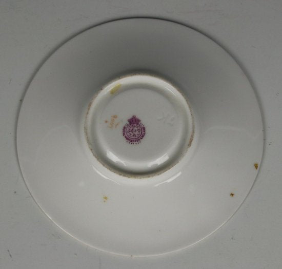 ロイヤルウースター　デミタスカップ&ソーサー　ワールドワイド　1910年製