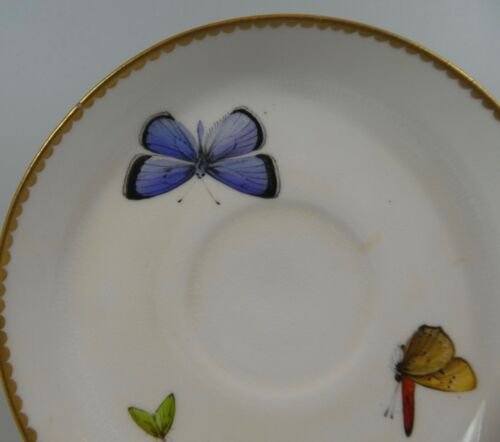 ロイヤルウースター　磁器　蝶々　カップとソーサー　1800年