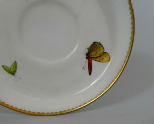 ロイヤルウースター　磁器　蝶々　カップとソーサー　1800年