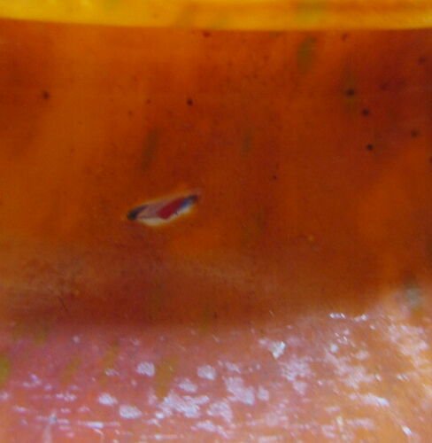 ル・ヴェール・フランカス　シュナイダー兄弟　カメオグラス　ペンダントライト　酸エッチング