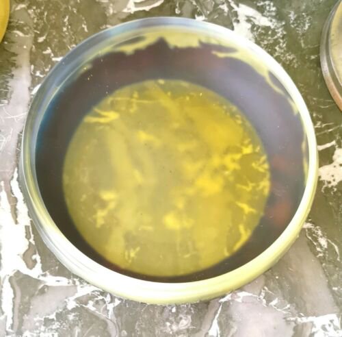 エミールガレ 　ボンボニエール（小物入れ）　作品名　『木の下で 』