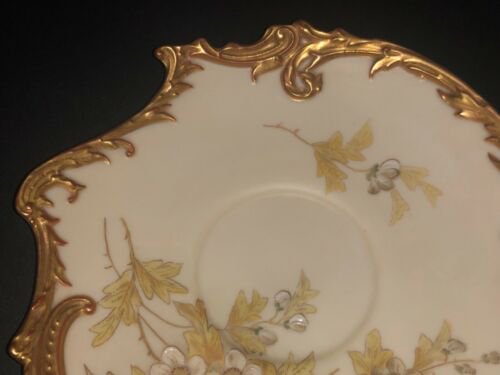 ロイヤルウースター　アールヌーヴォー　手描き絵付け　カップとソーサーのセット