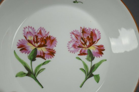 【マイセン磁器・マルコリーニ期】ピンクのカーネーションが手描きで描かれたコーヒーカップ、1774-1817年頃