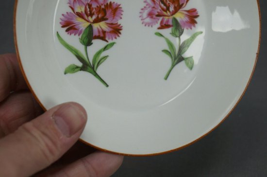 【マイセン磁器・マルコリーニ期】ピンクのカーネーションが手描きで描かれたコーヒーカップ、1774-1817年頃