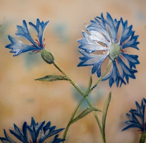 ドームナンシー　エナメルガラス　矢車菊の花瓶　フランス