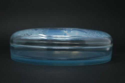 ルネ・ラリック オパレセントグラス “トンボ柄”ボックス