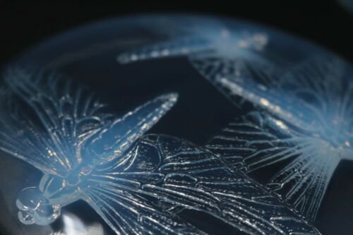 ルネ・ラリック　オパレセントグラス　“トンボ柄”ボックス