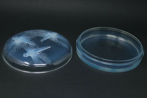 ルネ・ラリック　オパレセントグラス　“トンボ柄”ボックス