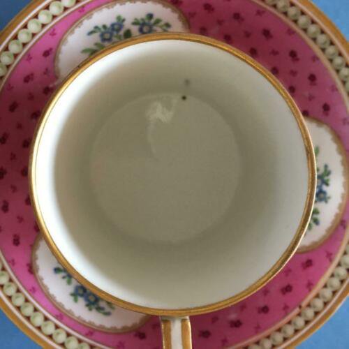 アンティーク　ロイヤル・ヴィエナ　ゾアゲンタール時代　18世紀　(1784年から1805年)　カップとソーサー