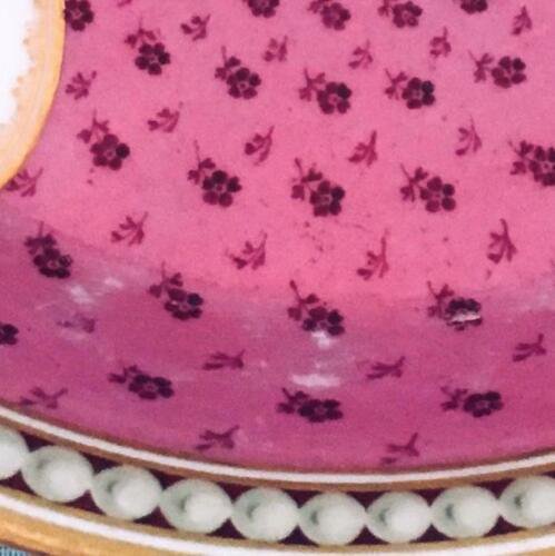 アンティーク　ロイヤル・ヴィエナ　ゾアゲンタール時代　18世紀　(1784年から1805年)　カップとソーサー