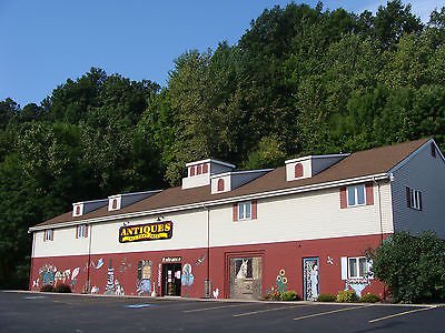 ０８４　エインズレイ　カップ＆ソーサー　ウッドランド　（グリーン＆ゴールド）