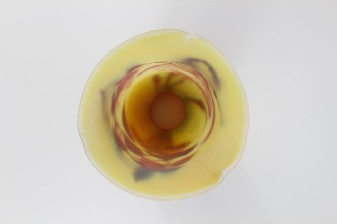 エミールガレ マグノリアの花のテーブルランプ アールヌーボー