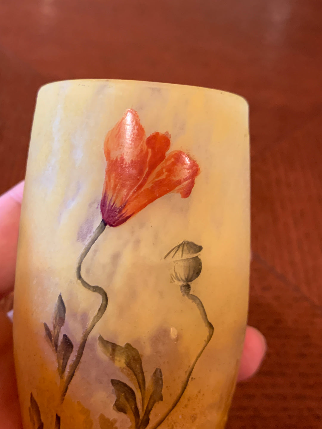 ドーム兄弟（ドームナンシー）ヒナゲシの花の小さいタンブラー