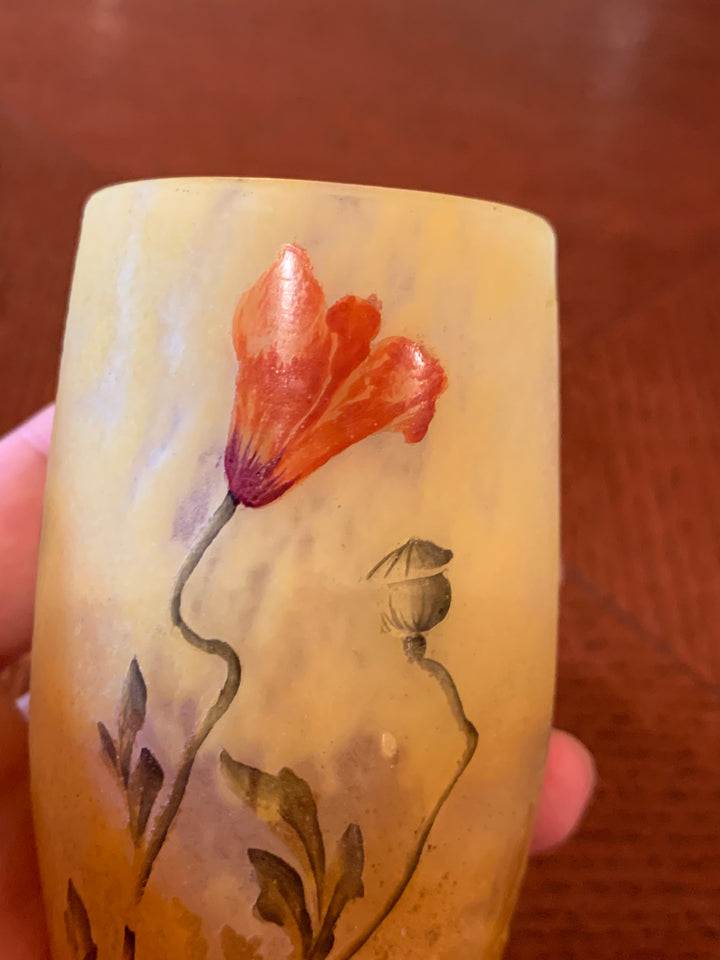 ドーム兄弟（ドームナンシー）ヒナゲシの花の小さいタンブラー