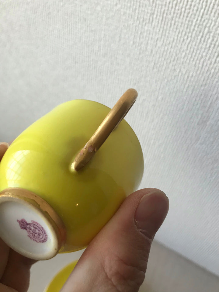 アンティーク　ロイヤルウースター　ビビッドカラー　黄色　金メッキ　デミタスカップとソーサー