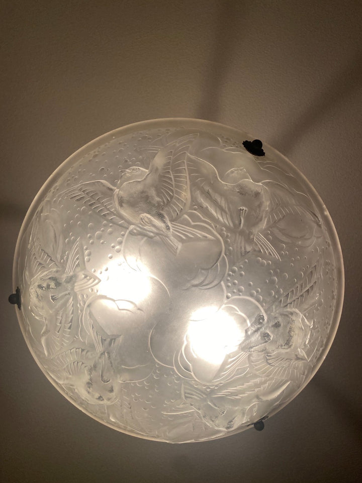 ミューラー兄弟　スズメのペンダントライト