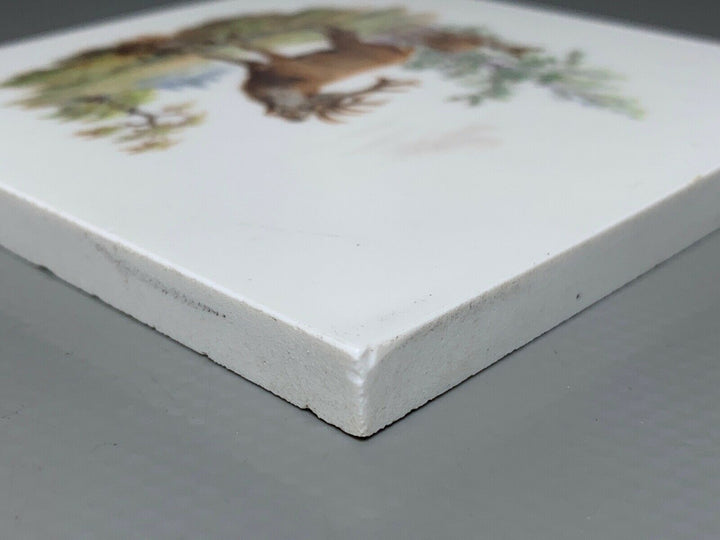 SELTENE MEISSEN FLIESE KACHEL HIRSCH WILDMALEREI NACH RIDINGER 10x10cm 1.WAHL