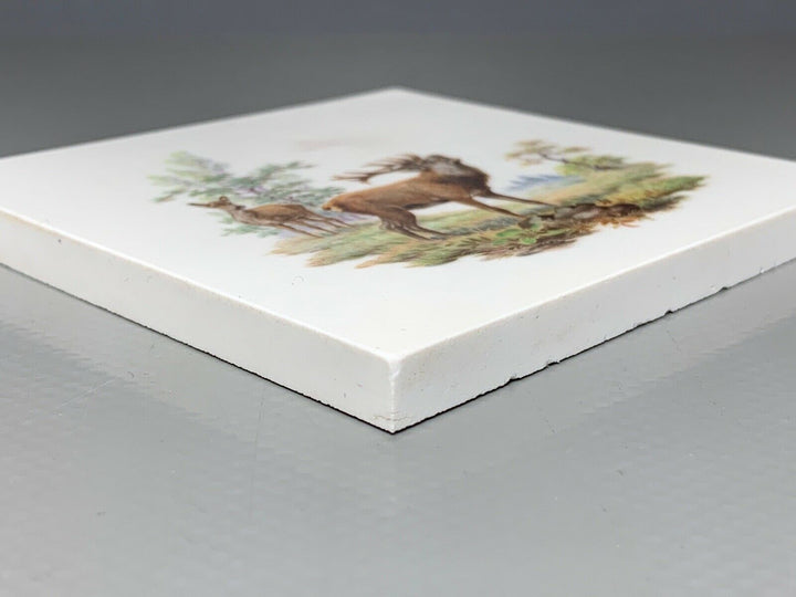 SELTENE MEISSEN FLIESE KACHEL HIRSCH WILDMALEREI NACH RIDINGER 10x10cm 1.WAHL