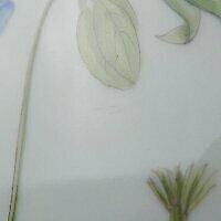 Royal Copenhagen Flora Danica Platter 30cm Plate Dinner Finest Botanical Encyc