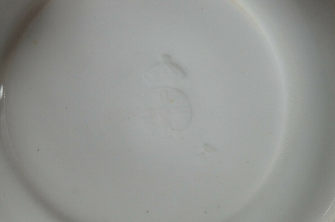 ロイヤルウースター　バタフライのカップ＆ソーサー